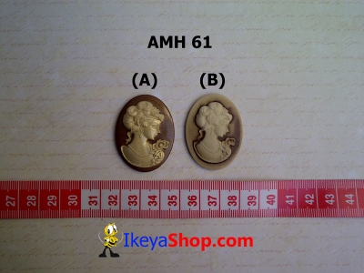 AMH 61  large2